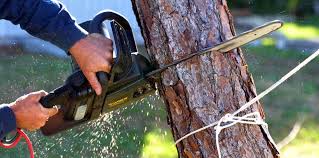 Best Soil Testing and Treatment  in Lake Barrington, IL