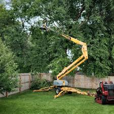Best Organic Lawn Care Solutions  in Lake Barrington, IL
